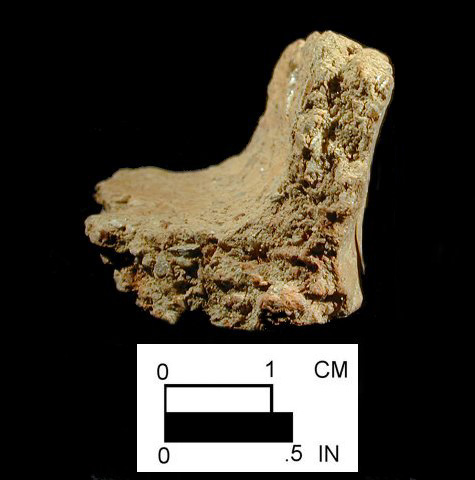 Dames Quarter cross-section of base sherd from the Kimmel Collection, Delaware-Courtesy of the Delaware State Museums.